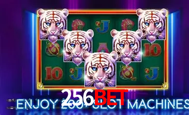 Flash Promotion 256bet