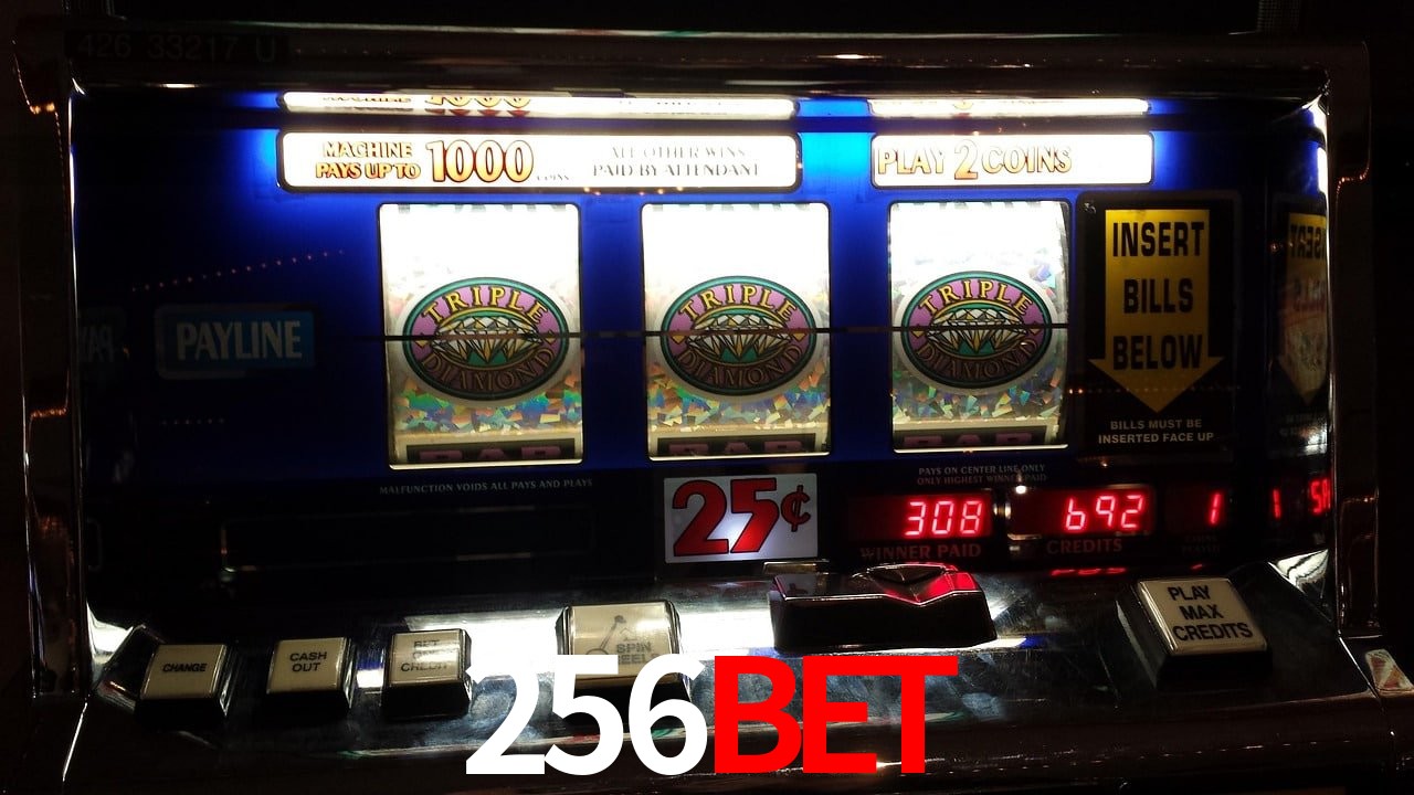 Aviator Game 256bet